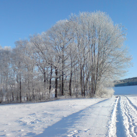 gemeindebrief2012